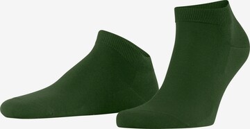 FALKE Socken 'ClimaWool' in Grün: Vorderseite