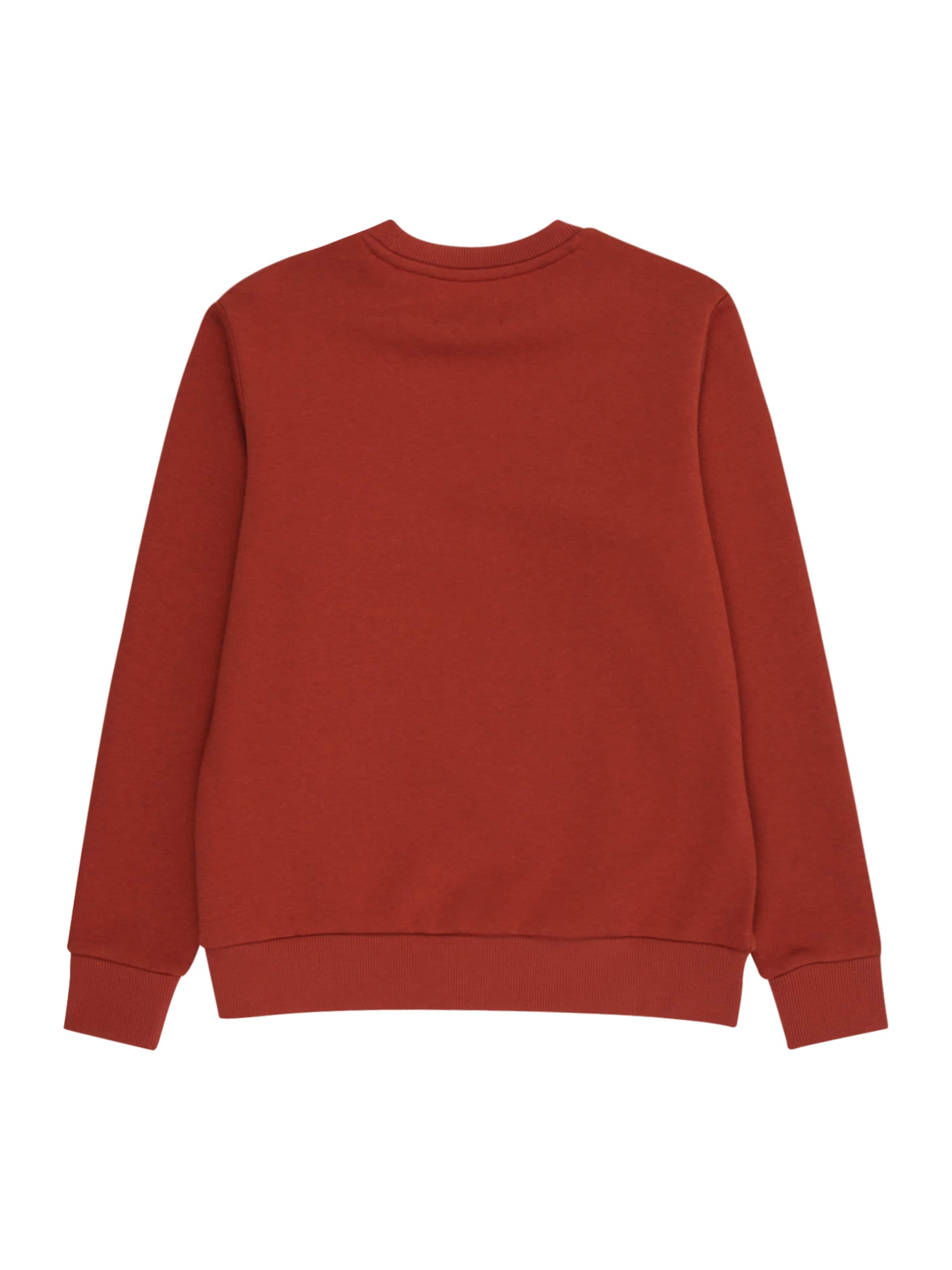Jack & Jones Junior Sweatshirt 'JJECALEB' i brun