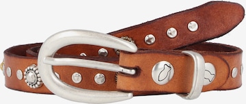 Campomaggi Belt in Brown: front