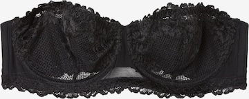 INTIMISSIMI Bandeau BH in Schwarz: Vorderseite