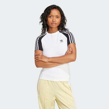 ADIDAS ORIGINALS Shirts 'Adicolor' i hvid: forside
