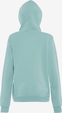 SANIKA Sweatshirt in Grün