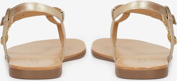 Kazar T-Bar Sandals in Gold