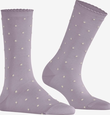FALKE Socks 'Spike Dot' in Purple: front
