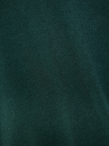 Pull-over Funky Buddha en vert