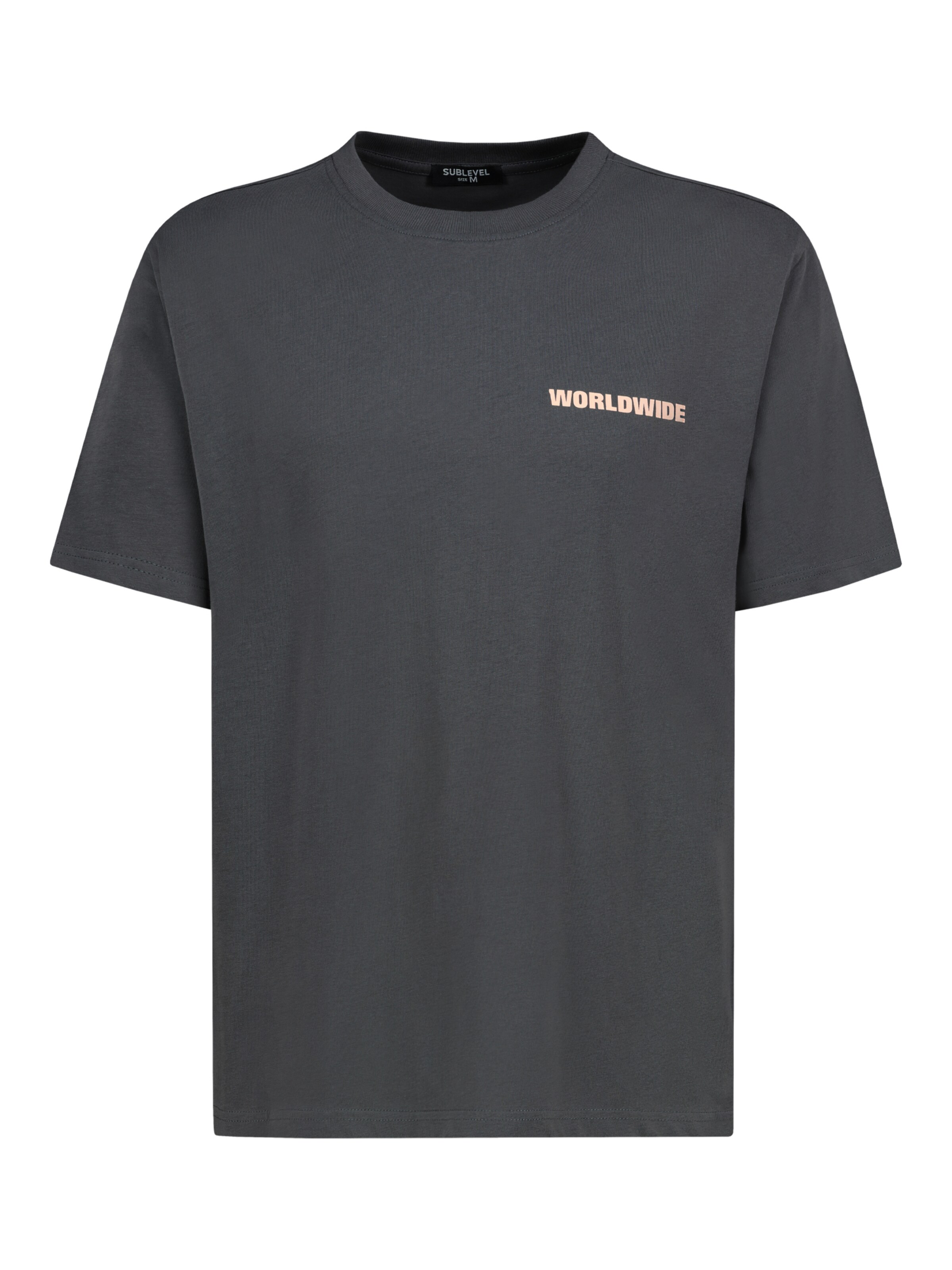 Sublevel Shirt in Grau: Vorderseite