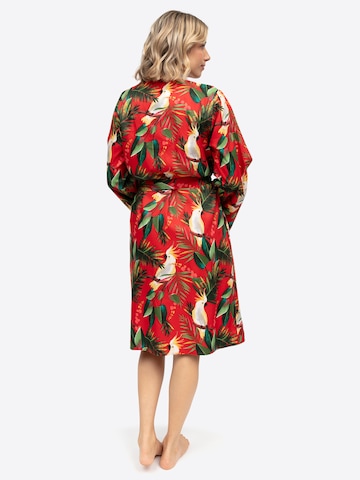 Cyberjammies Ochtendjas 'Tara' in Rood