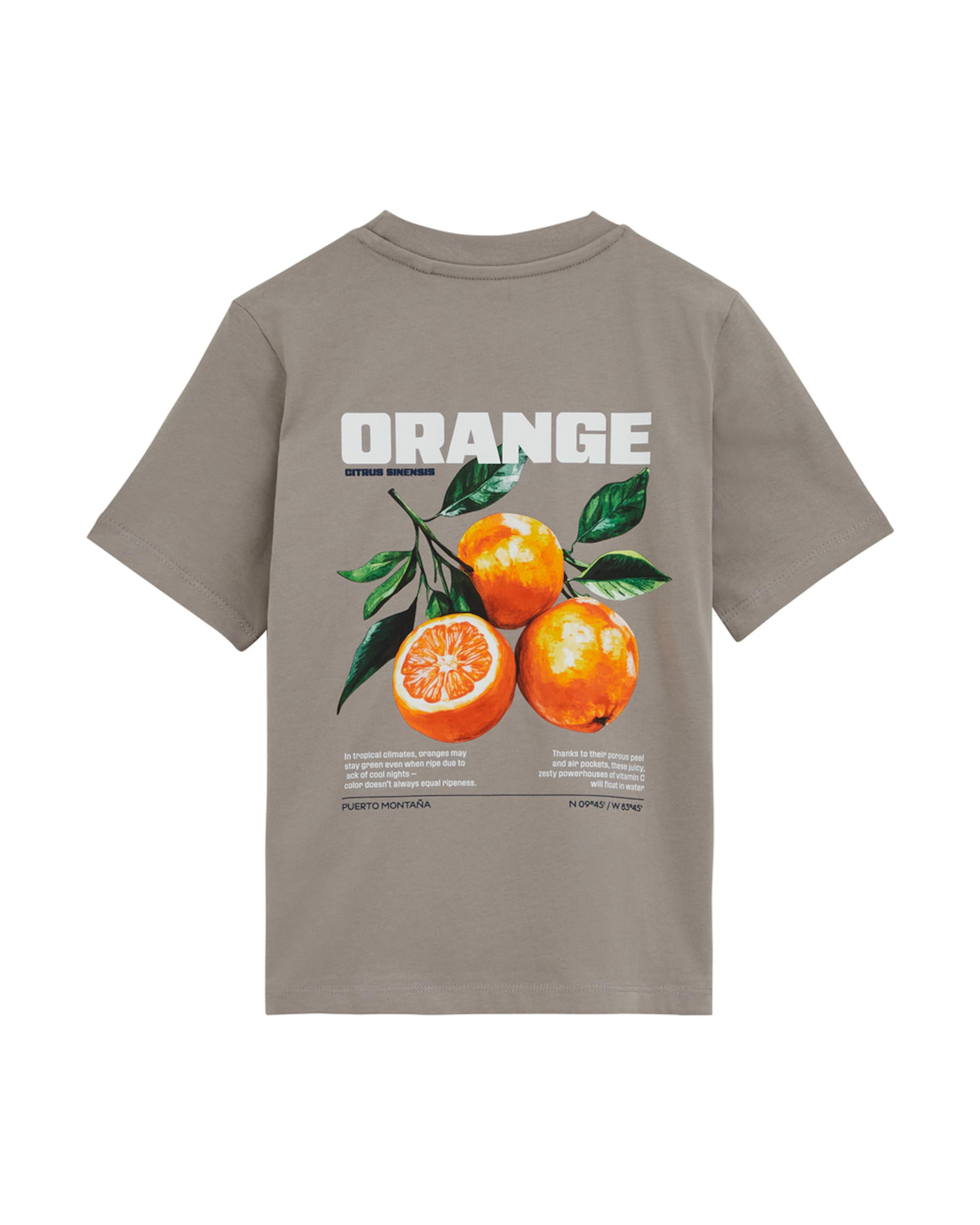 WE Fashion Shirt in Grijs