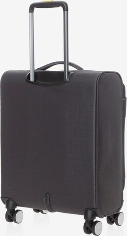 MANDARINA DUCK Trolley '20' in Grau