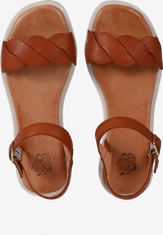 Apple of Eden Strap Sandals 'AVA' in Brown