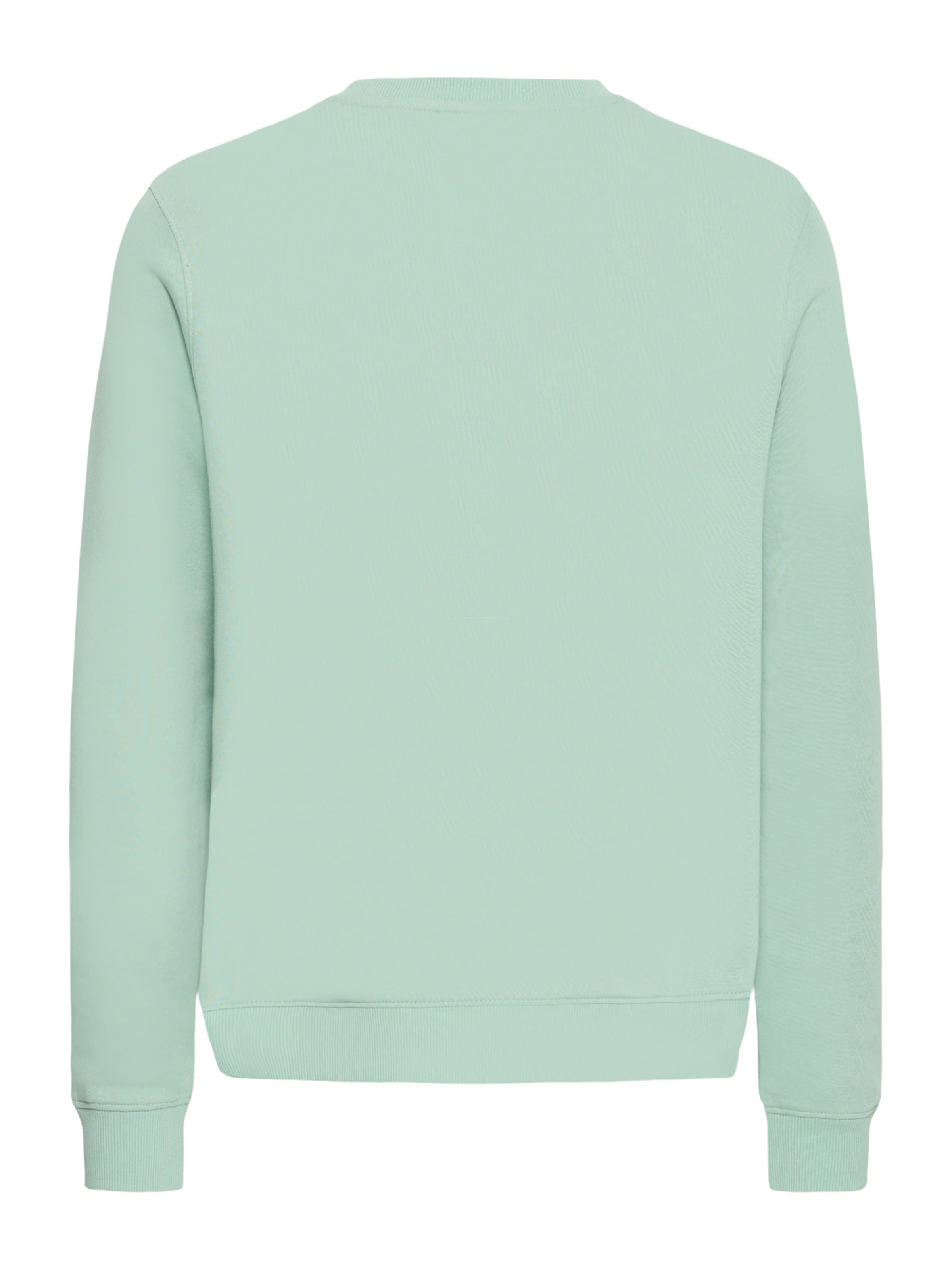 Bluză de molton 'BHKANE' de la BLEND pe verde