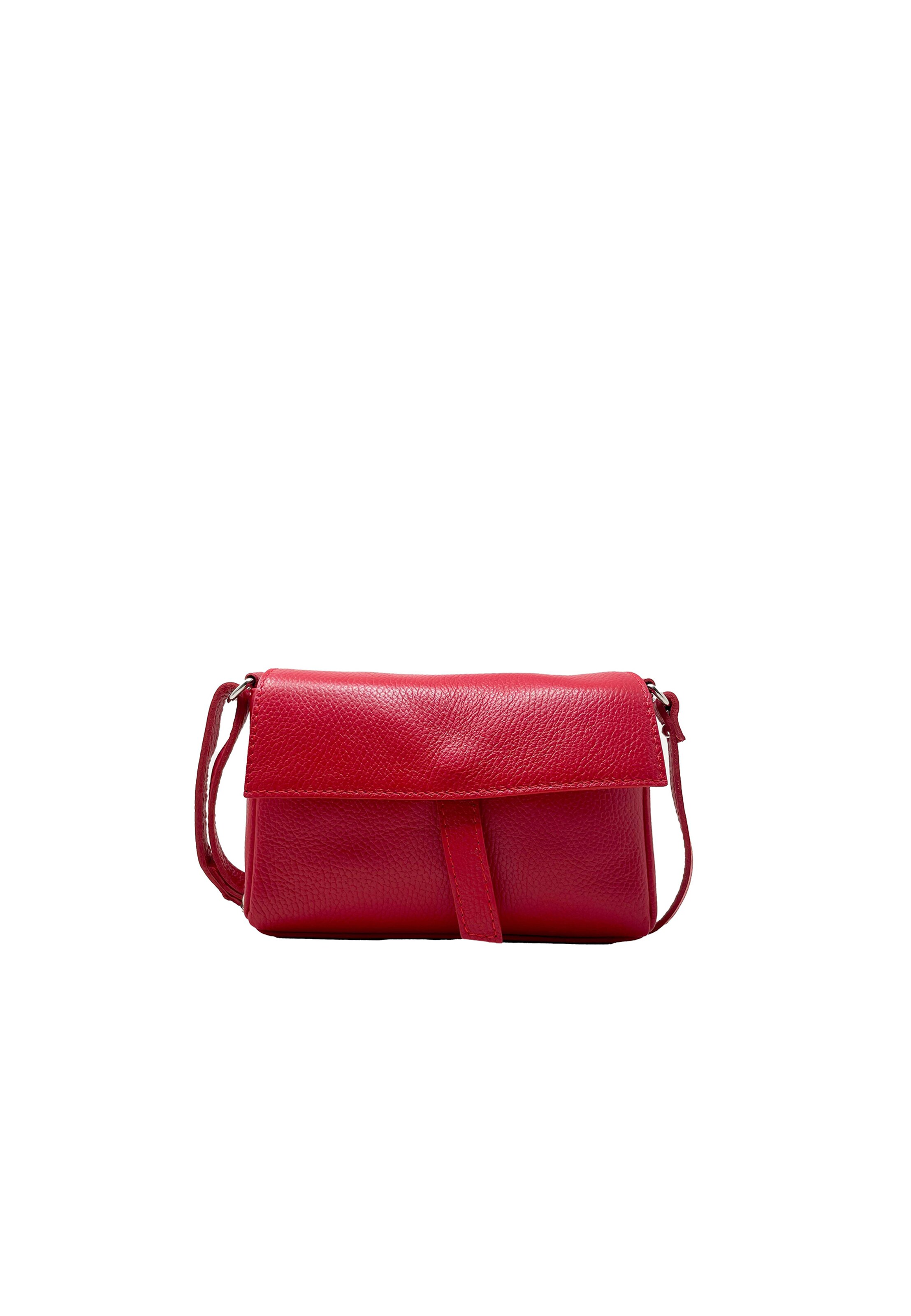 CHICCA BORSE Crossbody Bag in Red: front