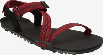 Xero Shoes Sandals 'Z-Trail EV' in Red: front