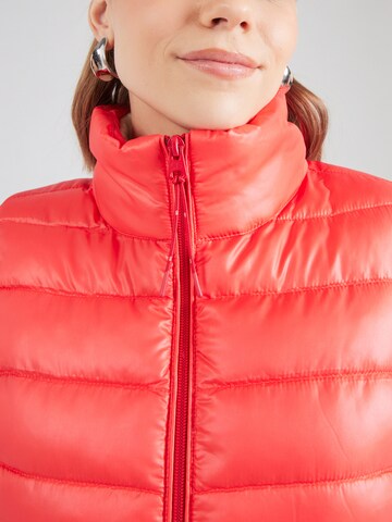QS - Chaleco en rojo
