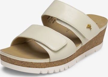 Zoccoletto di VITAFORM in beige: frontale