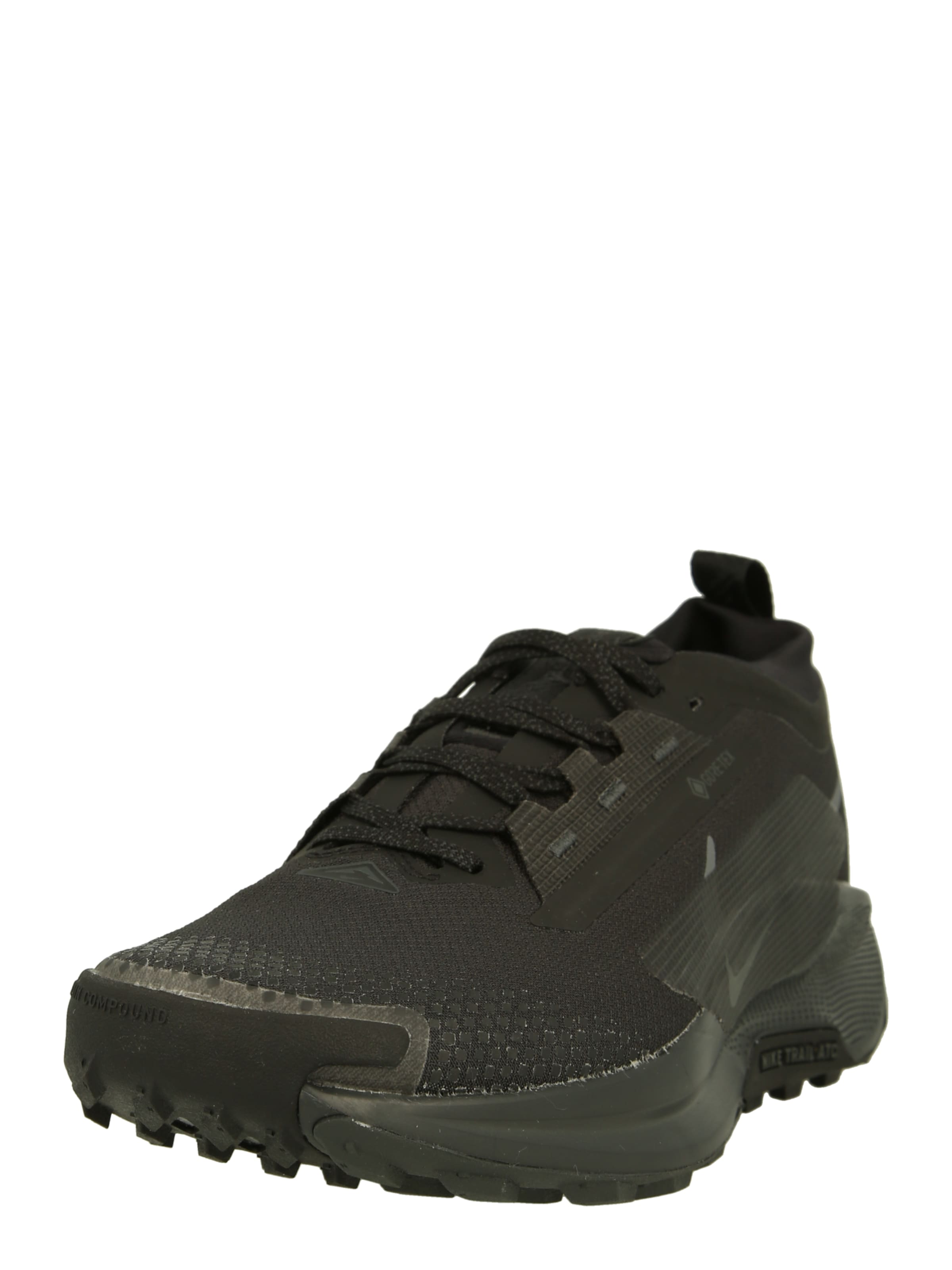 Chaussure de course 'Pegasus Trail 5' NIKE en noir : devant