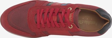 Baskets basses 'Rizza' PANTOFOLA D'ORO en rouge