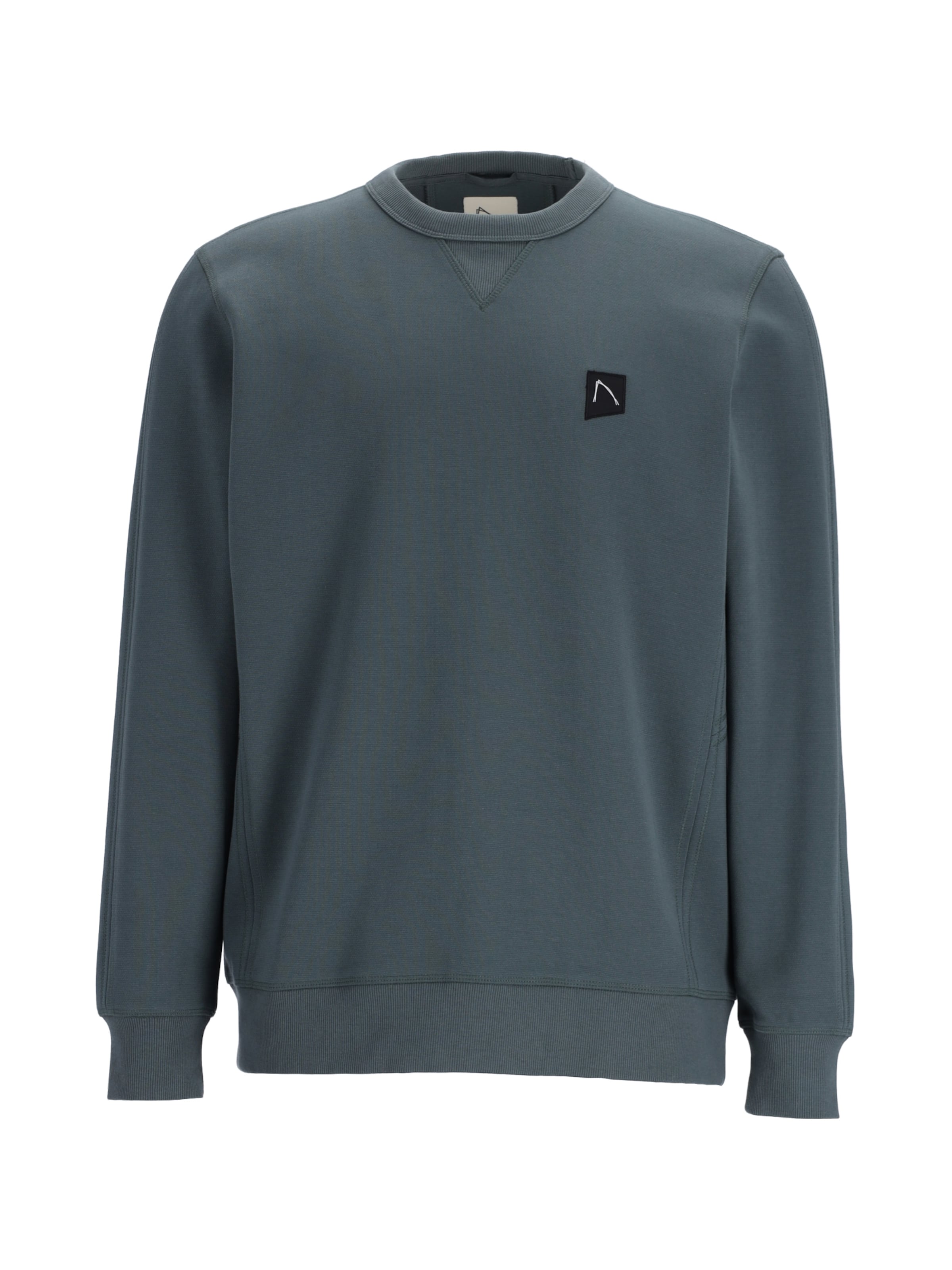 CHASIN' Sweatshirt 'Ryder' in Groen: voorkant