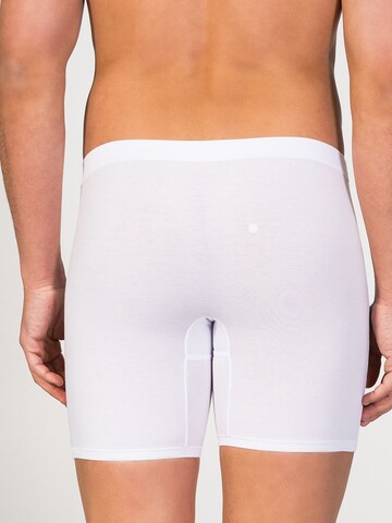 zd ZERO DEFECTS - Calzoncillo boxer 'Cyclist Boxer' en blanco