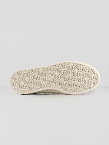 Veja Sneakers 'Recife' in White