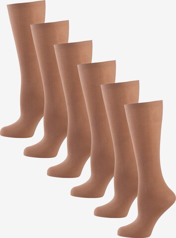 Chaussettes montantes Nur Die en marron : devant