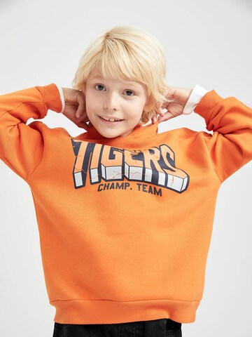 DeFacto Sweatshirt in Orange