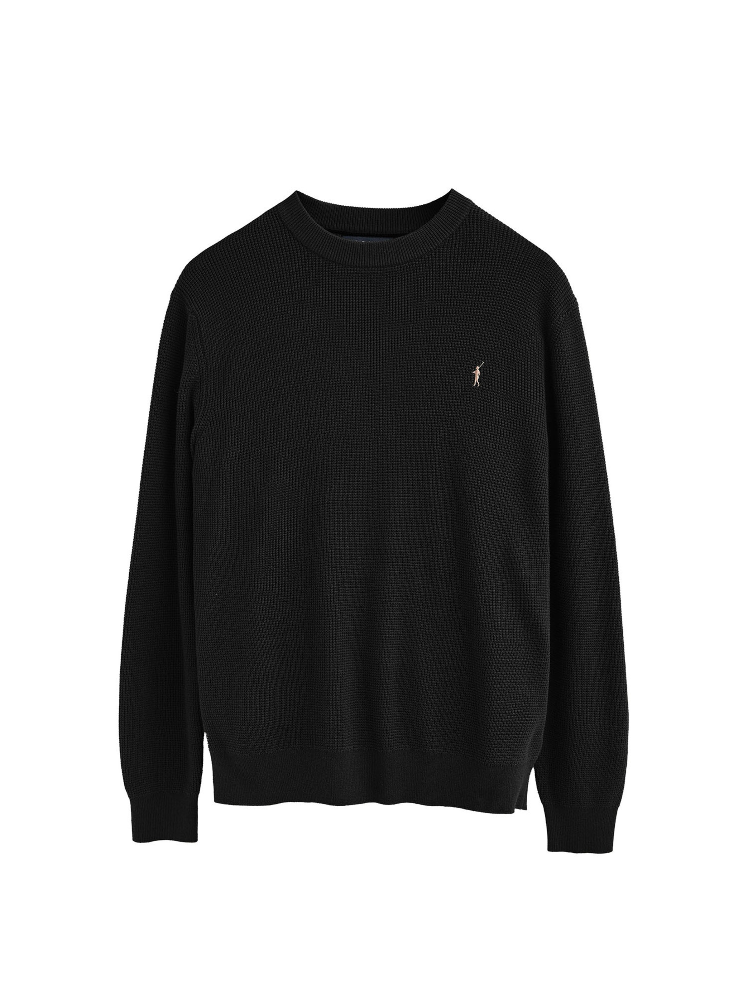 Polo Club Sweater in Black: front