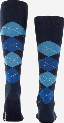 BURLINGTON Knee High Socks in Blue