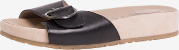 TAMARIS Mules in Black: front