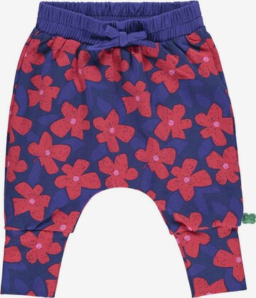 Regular Pantalon '' Fred's World by GREEN COTTON en bleu : devant