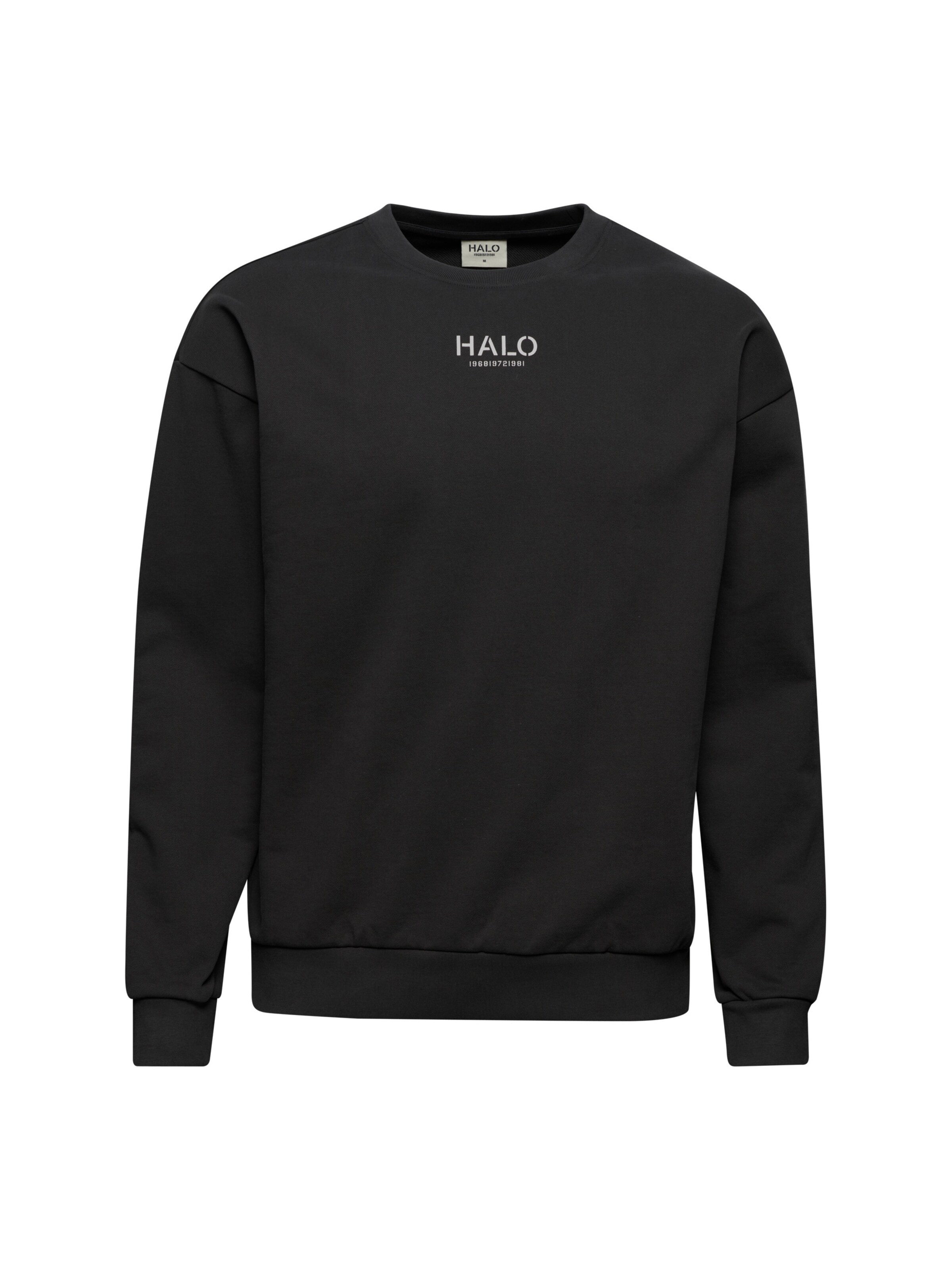 HALO Sweatshirt in Grau: Vorderseite
