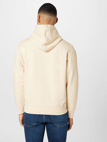 REPLAY Sweatshirt in Beige