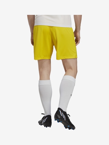 regular Pantaloni sportivi 'Entrada 22' di ADIDAS SPORTSWEAR in giallo: frontale