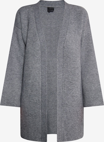 DreiMaster Klassik Knit cardigan 'Ledkin' in Grey: front