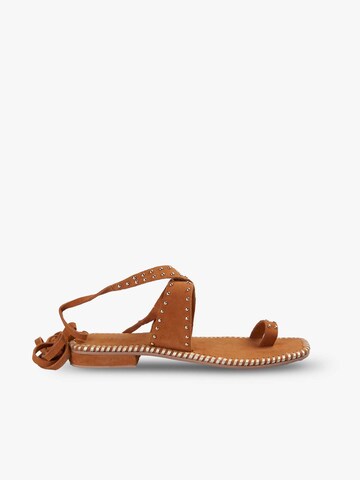 Scalpers Sandaler 'Roma Studs' i brun: forside