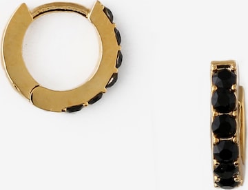 Orelia Earrings in Gold: front