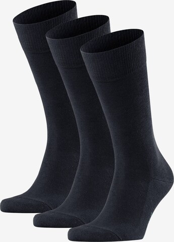 FALKE Socks in Blue: front