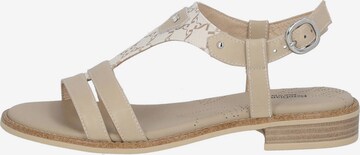 Nero Giardini Sandals 'E410464D' in Beige
