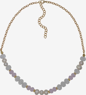 Chaîne Steuer en jaune : devant