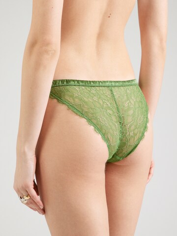 LOVE Stories Slip 'Wild Rose' in Green