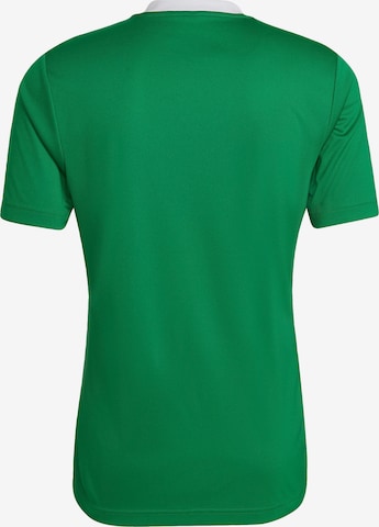 T-Shirt fonctionnel 'Entrada 22' ADIDAS SPORTSWEAR en vert