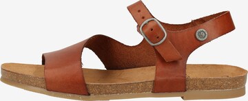 Sandales COSMOS COMFORT en marron