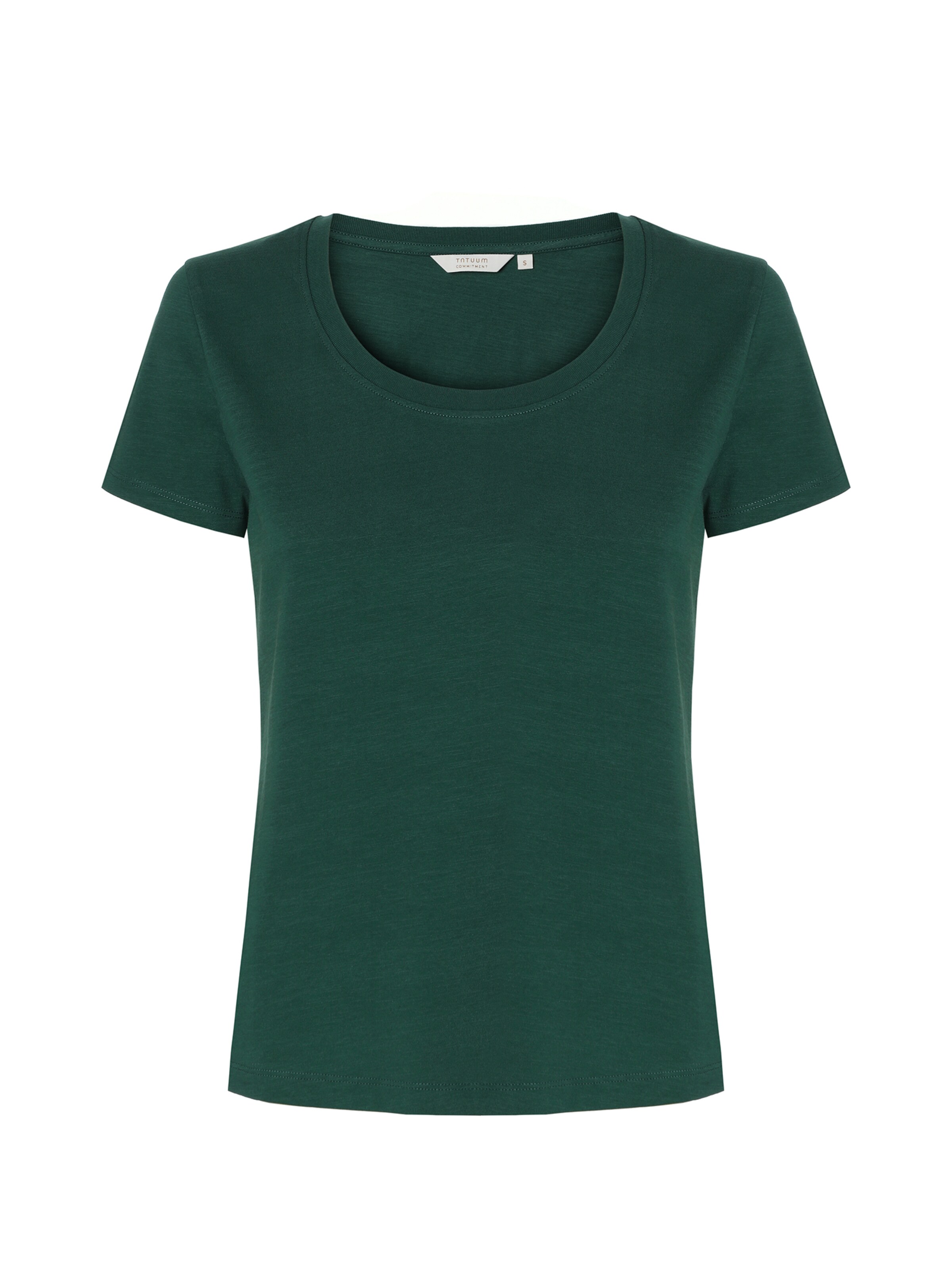 TATUUM T-shirt 'Antini' i grön: framsida
