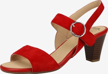 ARA Strap Sandals in Red: front