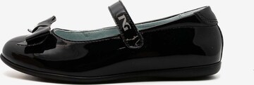 Nero Giardini Ballet Flats in Black: front