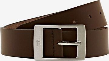 ESPRIT Belt in Brown: front