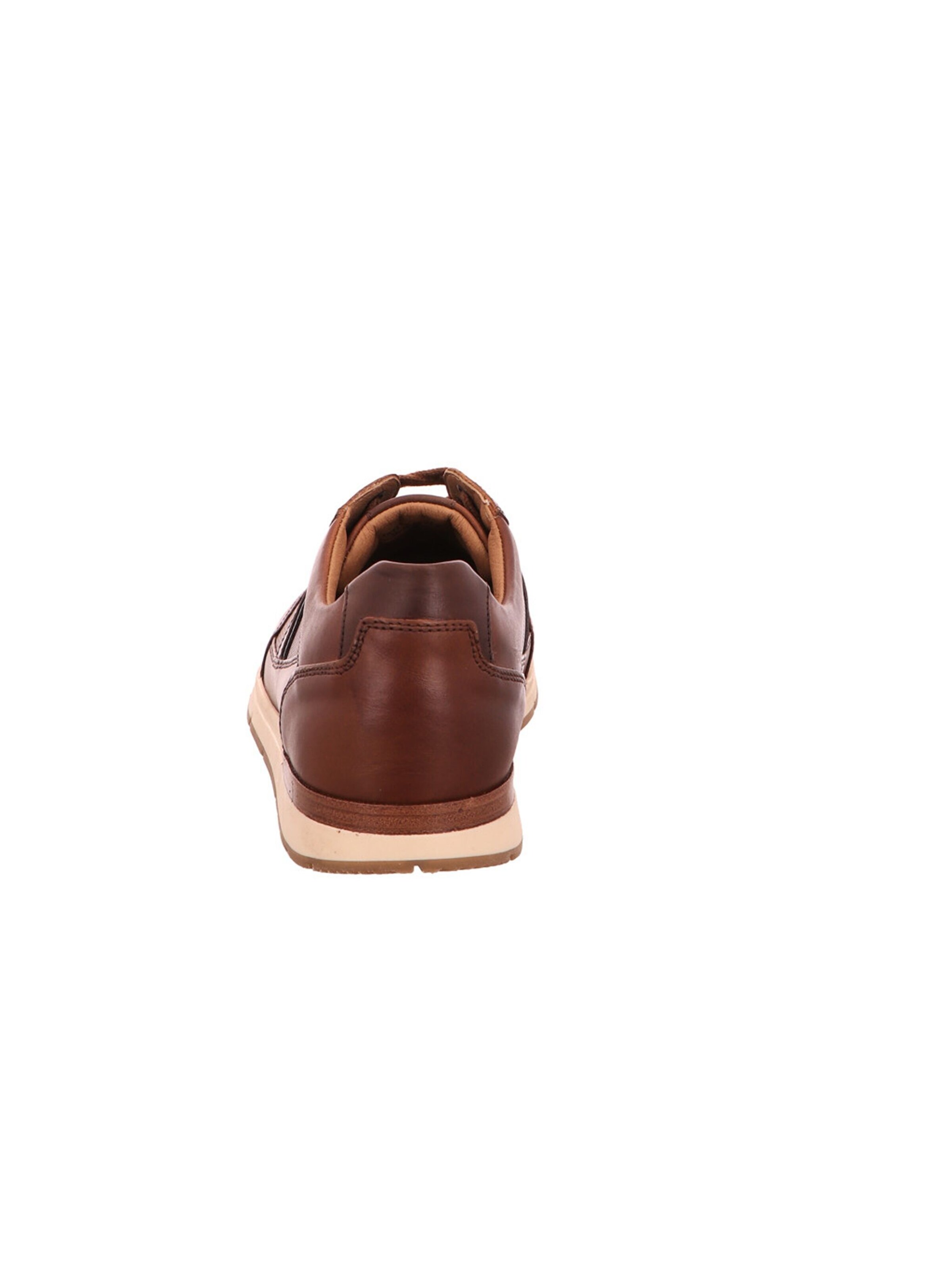 Pius Gabor Sneakers in Brown