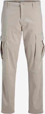 Pantalon cargo 'JPSTKANE JONNIE' JACK & JONES en gris : devant