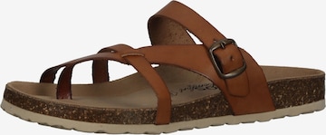 COSMOS COMFORT Mules in Brown: front