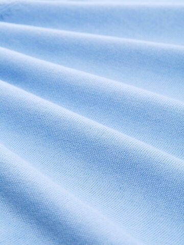 TOM TAILOR Trui in Blauw